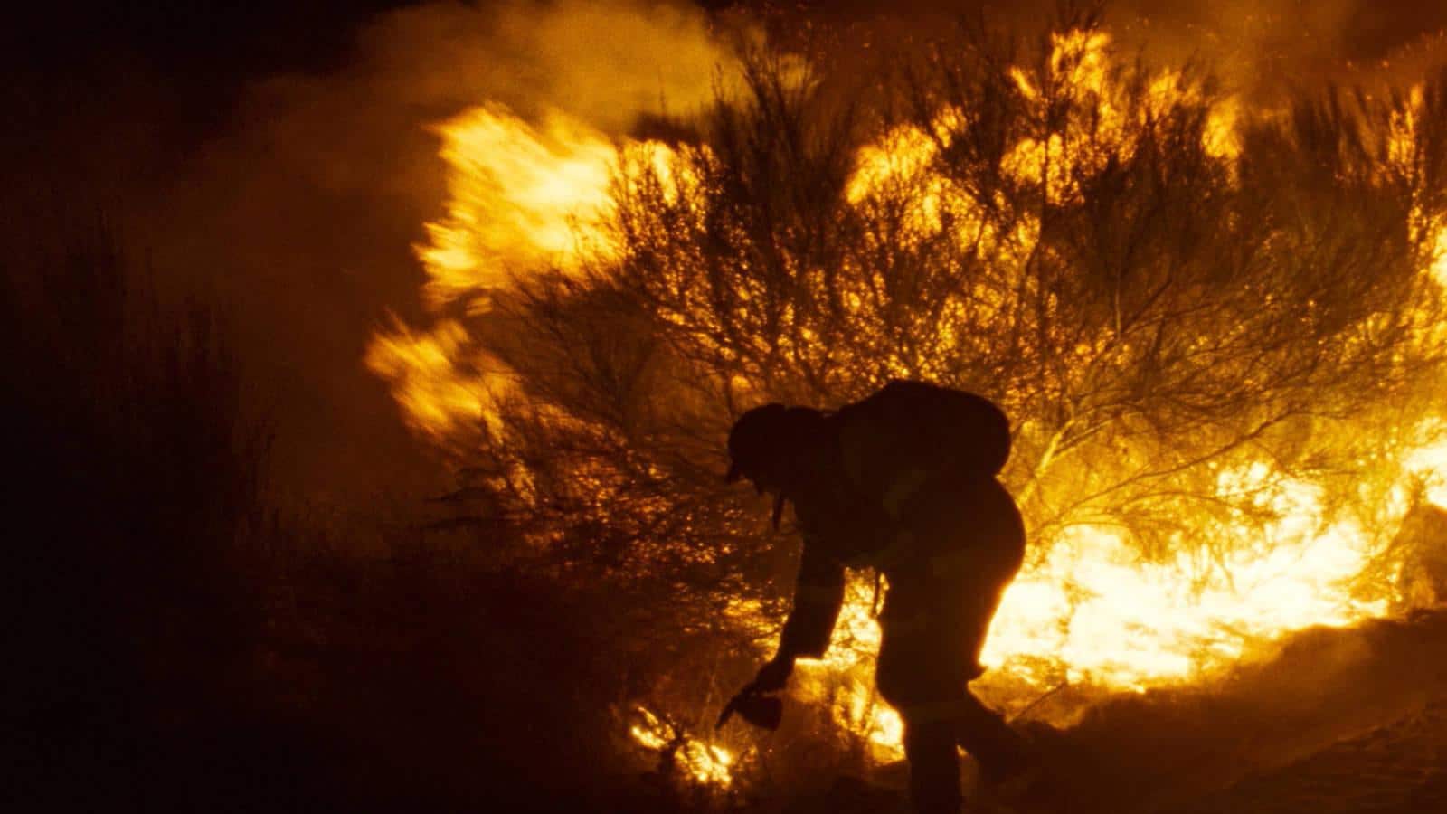 Los Mestre Mateo de la Academia gallega encumbran a 'Lo que arde' 1 lo-que-arde-premios-mestre-mateo-cine-con-ñ