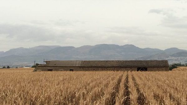 Las 10 "prometedoras" películas españolas que buscan apoyos en Cannes 18