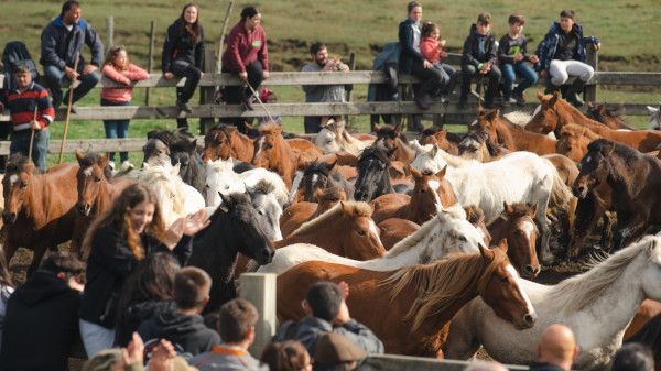 Tráiler de 'Rapa', de los creadores de 'Hierro', que se estrena el 19 de mayo 2 Tráiler de 'Rapa', de los creadores de 'Hierro', que se estrena el 19 de mayo 1
