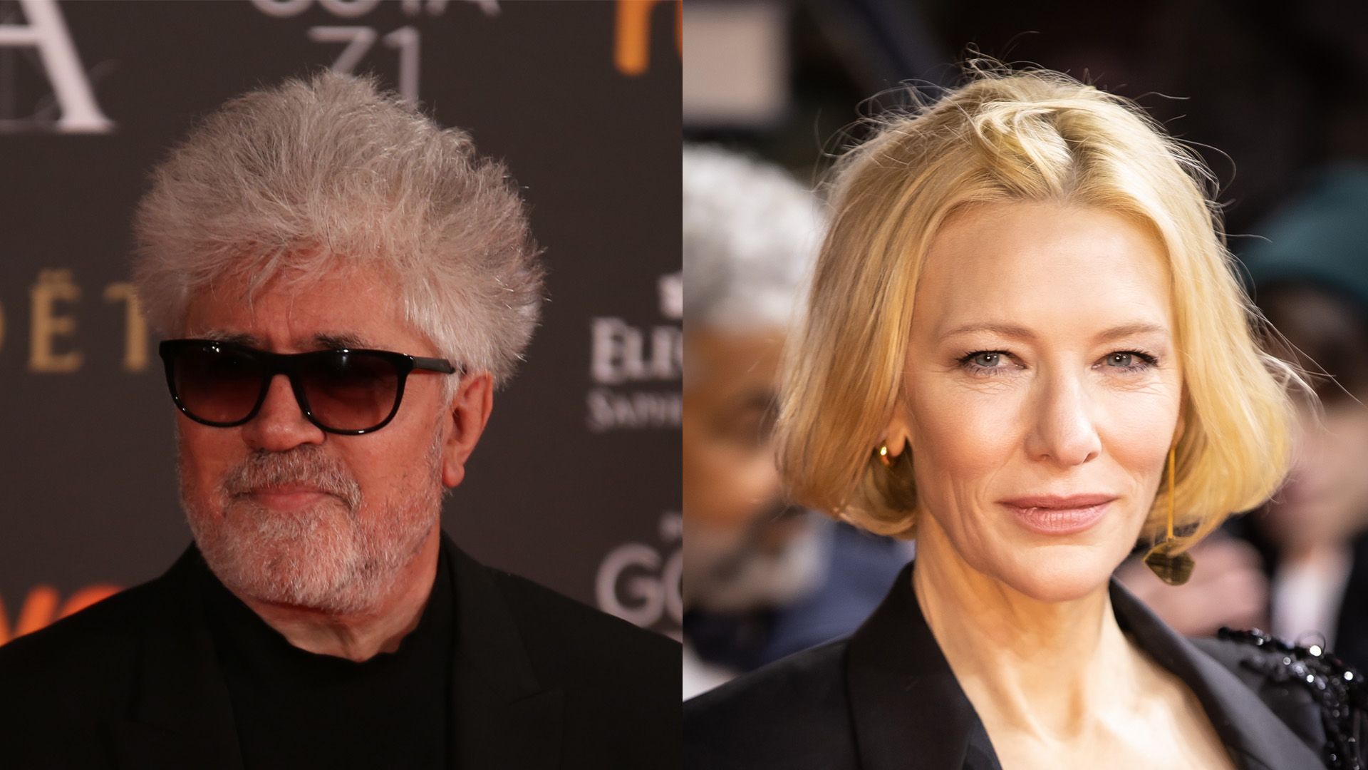 Almodóvar aprovecha los Óscar para el 'casting' de 'Manual para mujeres de la limpieza' 2 Almodóvar aprovecha los Óscar para el 'casting' de 'Manual para mujeres de la limpieza' 1