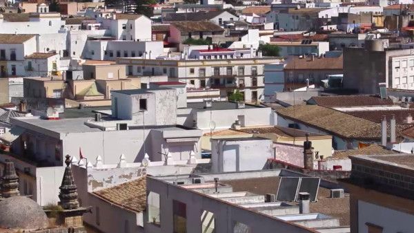 'Terremoto. El documental', memoria de un flamenco salvaje 2 'Terremoto. El documental', memoria de un flamenco salvaje 2