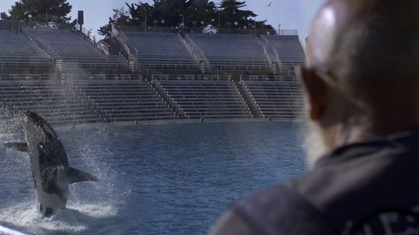 'Ulisses', la historia de la estrella del Zoo de Barcelona y su entrenador arrepentido 3 'Ulisses', la historia de la estrella del Zoo de Barcelona y su entrenador arrepentido 3