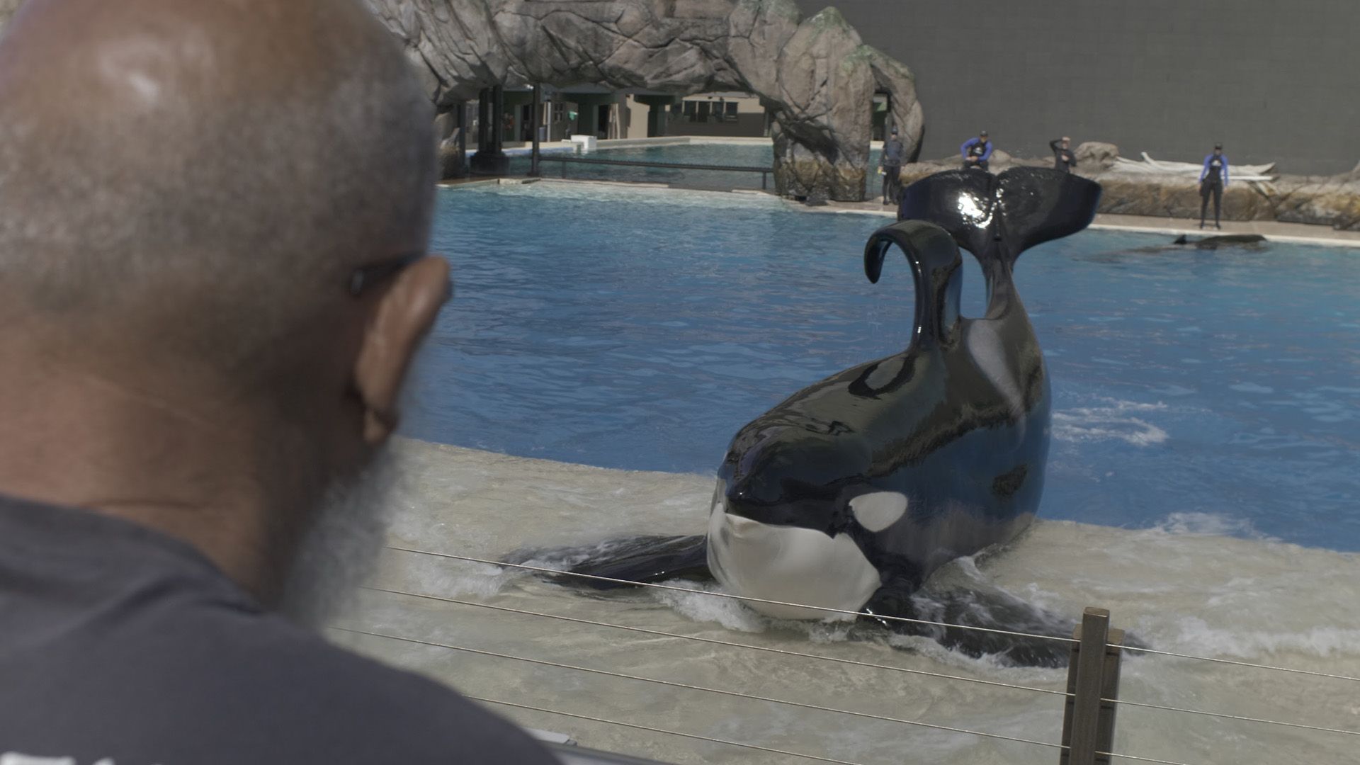 'Ulisses', la historia de la estrella del Zoo de Barcelona y su entrenador arrepentido 4 ulisses-documental-orca-joan-bover-cine-con-n