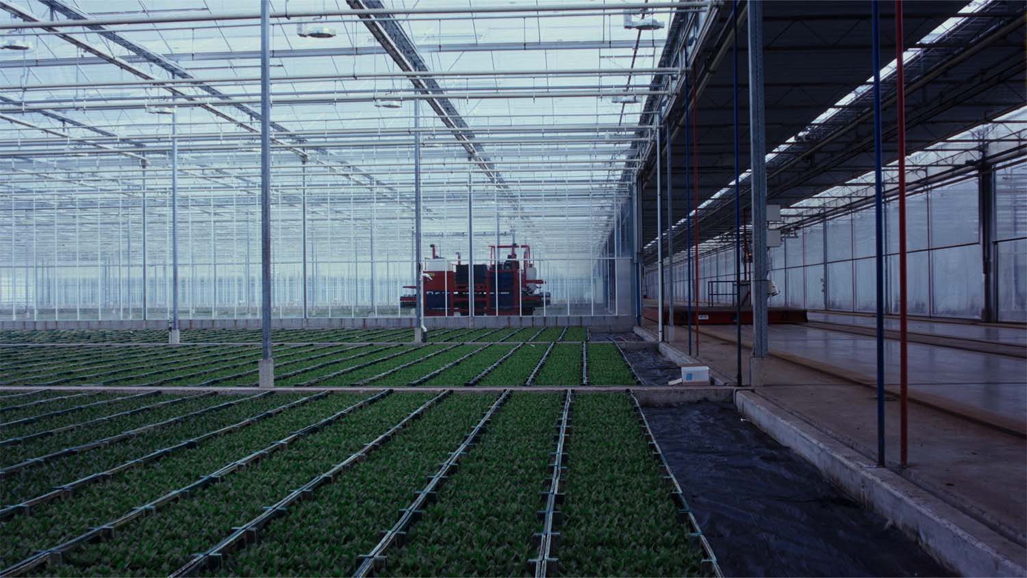 Documenta Madrid premia la reflexión sobre la industria alimentaria y el medio rural 2 palmarés de documenta madrid 2022