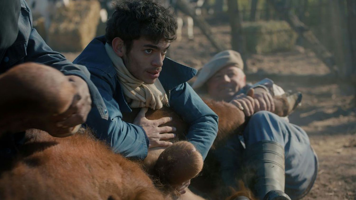 'Matadero' y el corto 'Castells', películas españolas en el Festival de Locarno 3 'Matadero' y el corto 'Castells', películas españolas en el Festival de Locarno 3