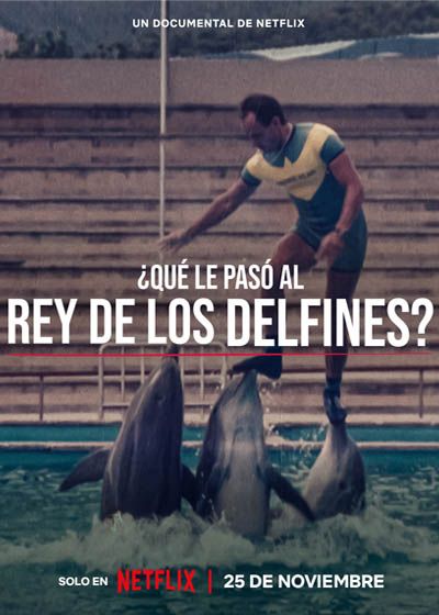 ¿QUÉ LE PASÓ AL REY DE LOS DELFINES? 2 ¿QUÉ LE PASÓ AL REY DE LOS DELFINES? 2