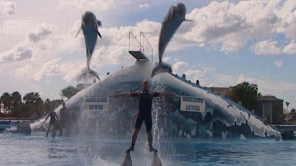 '¿Qué le pasó al rey de los delfines?': un documental para Netflix cuenta el escándalo de José Luis Barbero 1 '¿Qué le pasó al rey de los delfines?': un documental para Netflix cuenta el escándalo de José Luis Barbero 1