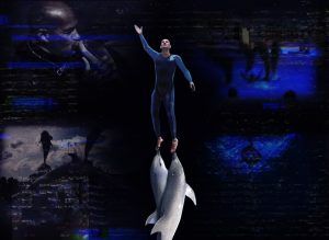 ¿Qué le pasó al rey de los delfines?: La maldición de la vieja escuela 8