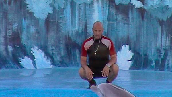 ¿Qué le pasó al rey de los delfines?: La maldición de la vieja escuela 2 ¿Qué le pasó al rey de los delfines?: La maldición de la vieja escuela 1