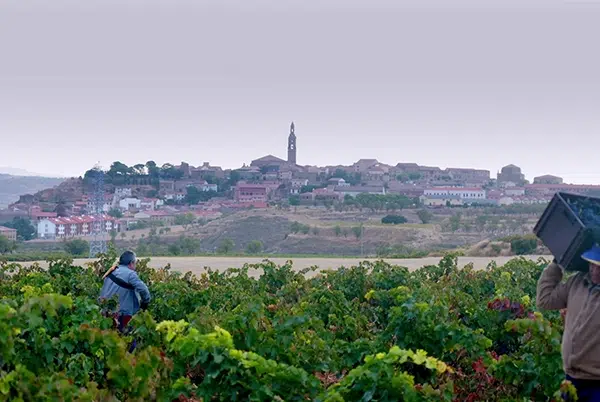 Tráiler del documental sobre el vino de Rioja de Jose Luis López-Linares 1 Tráiler del documental sobre el vino de Rioja de Jose Luis López-Linares 1