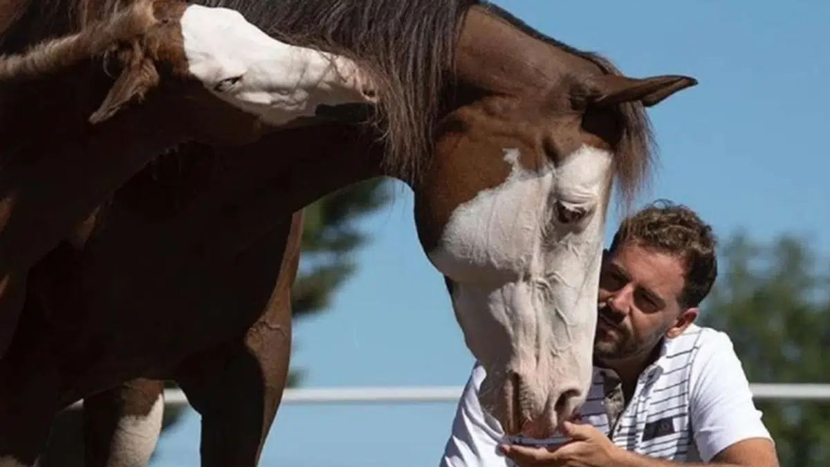 'Hermano Caballo', un documental sobre el criador y domador Santi Serra 1 Hermano Caballo Marcel Barrena Santi Serra