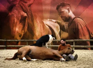 Hermano Caballo: Sin pedigrí y sin manada 11