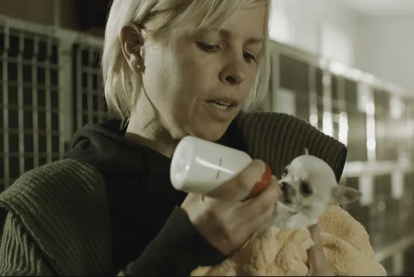 Adrián Lastra es el malo en 'Carne Roja', un thriller social con tintes animalistas 1 Adrián Lastra es el malo en 'Carne Roja', un thriller social con tintes animalistas 1