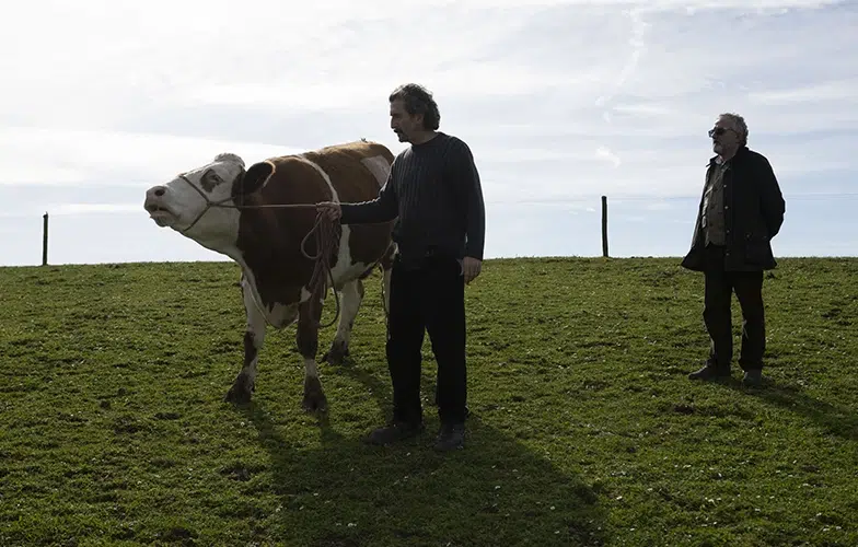 Nuevas imágenes de 'Animal': Luis Zahera en una comedia rural para Netflix 4 Nuevas imágenes de 'Animal': Luis Zahera en una comedia rural para Netflix 4