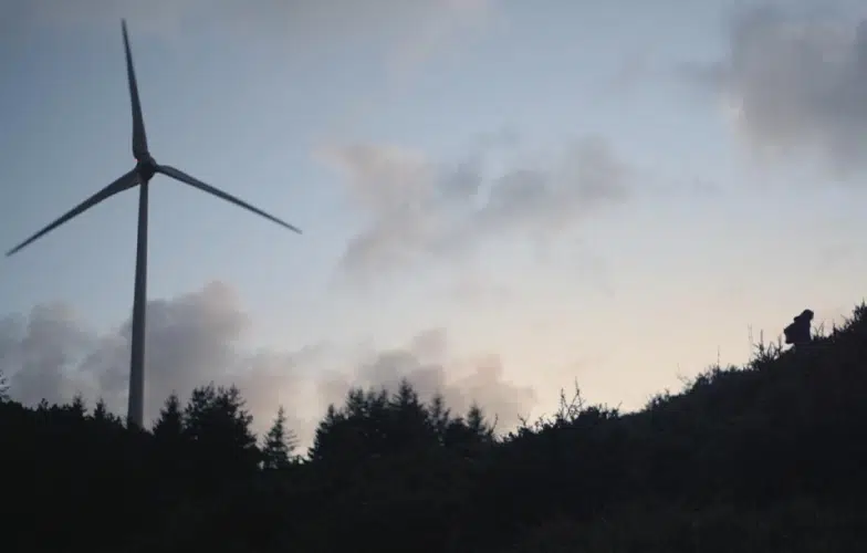 'Salvaxe, salvaxe' y 'Por donde pasa el silencio' lideran la competición nacional de L'Alternativa 2024 1 Salvaxe, salvaxe documental lobo iberico