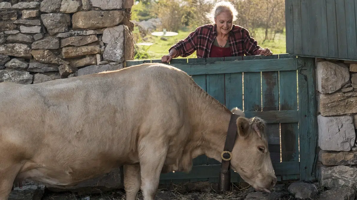 Se rueda 'Cowgirl', una comedia romántica rural y protagonizada por una mujer de 62 años 2 Cowgirl