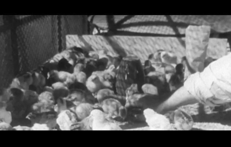 'Apartado de correos 1001': El cine negro español y los límites de lo mostrable 3 'Apartado de correos 1001': El cine negro español y los límites de lo mostrable 3