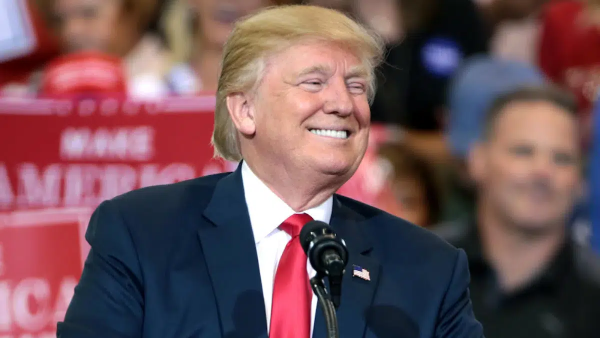 El cine independiente a nivel mundial (pero sobre todo europeo) pide "mantenerse firme" frente a Trump 2 cine independiente aranceles donald trump