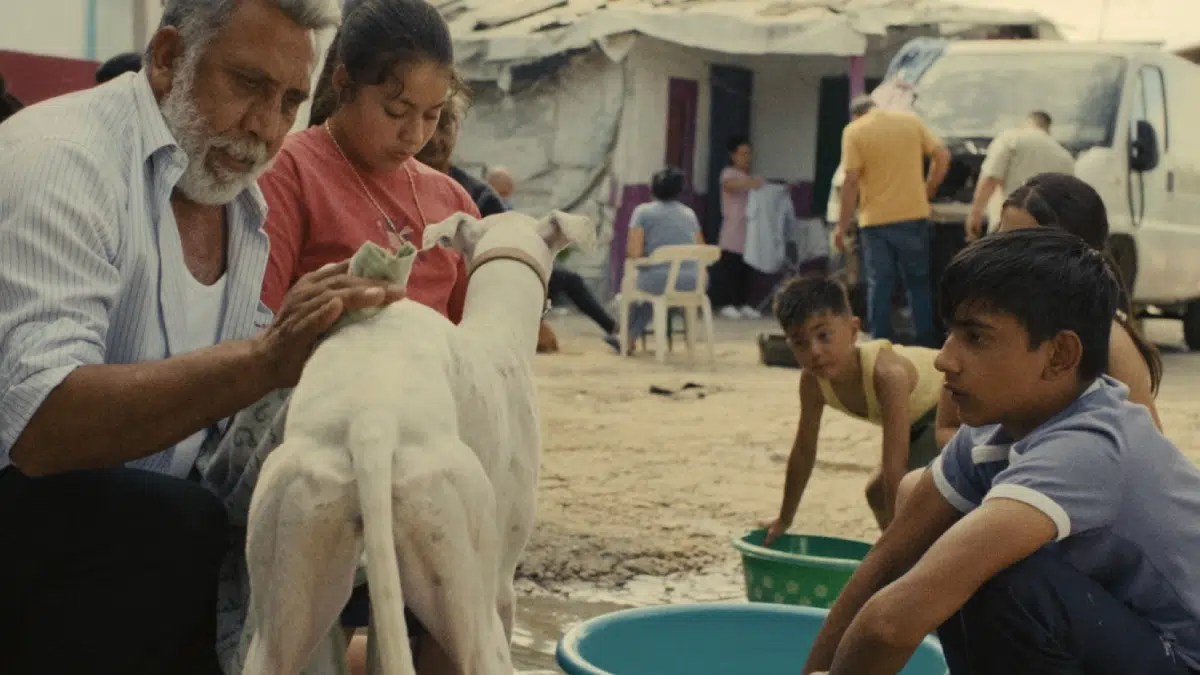 'Ciudad sin sueño' gana Mejor Guión en la Semana de la Crítica de Cannes 1 Ciudad sin sueño Festival de Cannes 2025