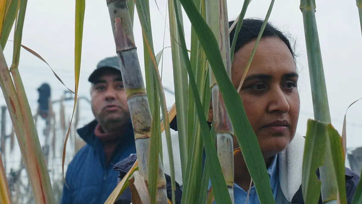 'Historias del buen valle' y retrospectivas de Elena López Riera y Lois Patiño para l'Alternativa 2025 2 El cine español en el Festival de San Sebastián 2025 L'Alternativa 2025