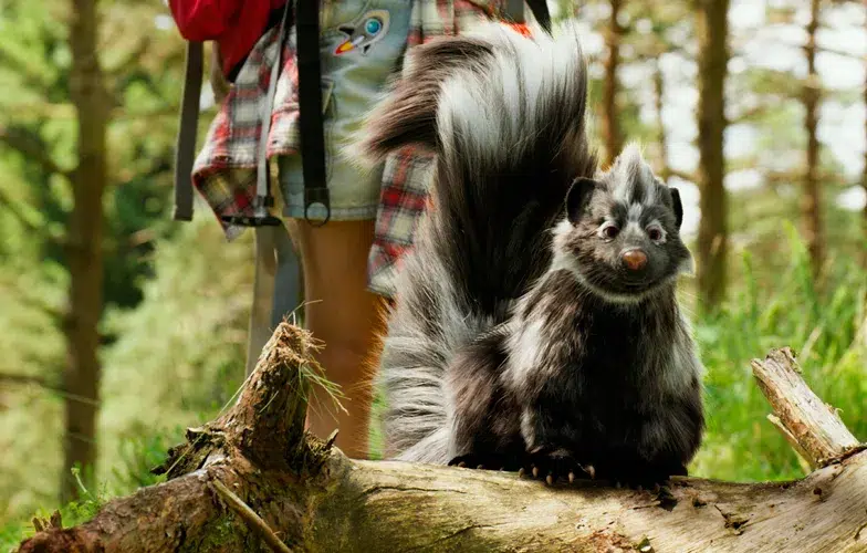 <strong>Campamento Garra de Oso</strong>: Aprendiendo a respetar la naturaleza 6