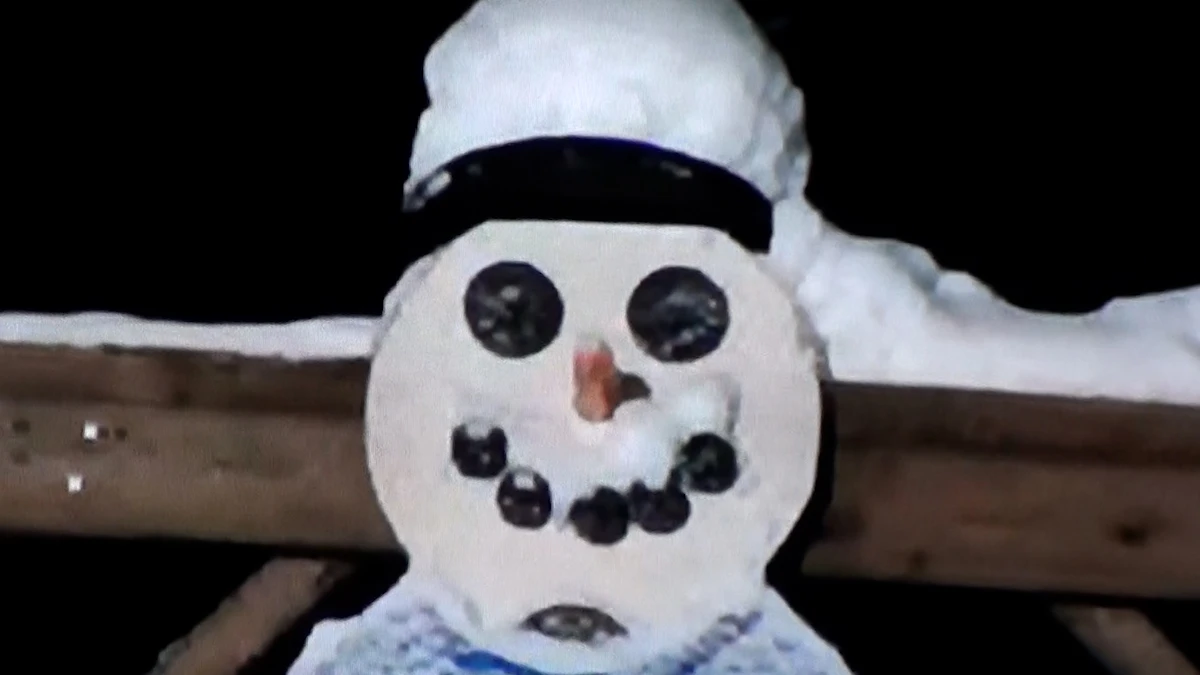 'Elurra', el descenso a la locura de un hombre aislado con la única compañía de ChatGPT y un muñeco de nieve 1 Elurra, de Eneko Zulaika