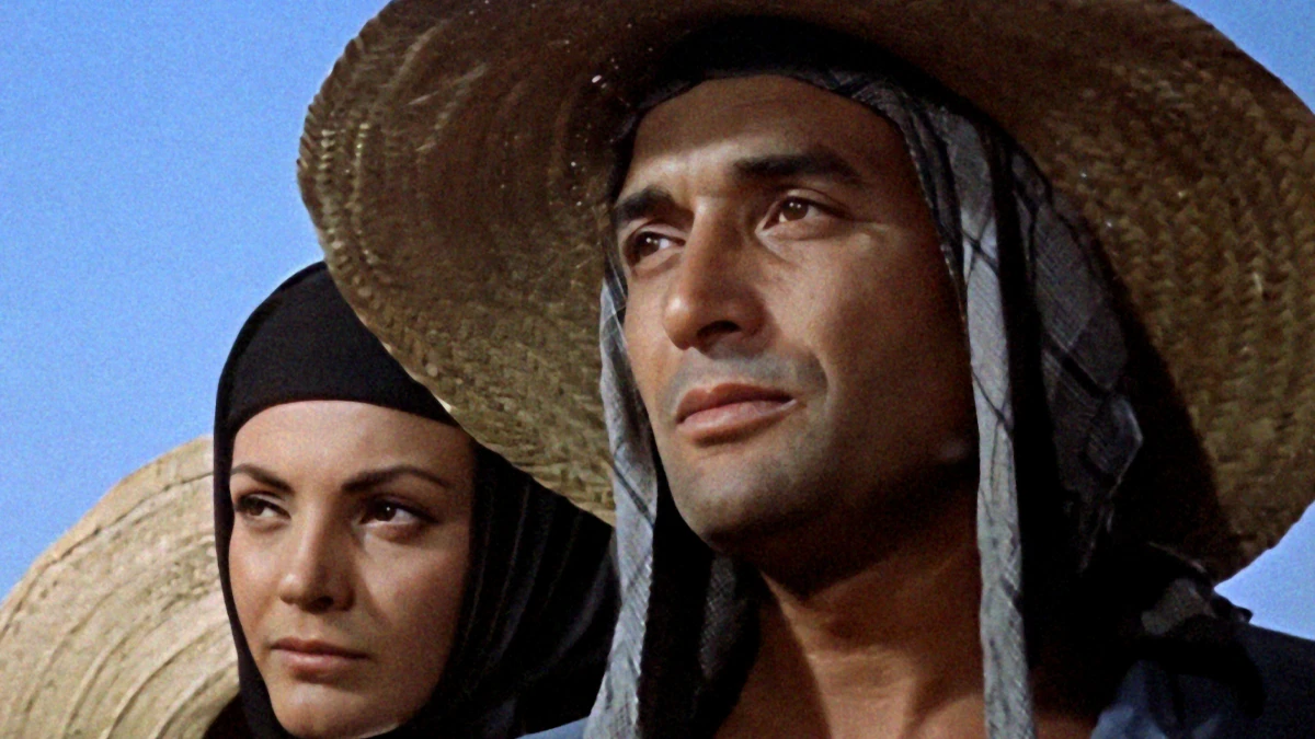 'A un paso de la gloria': un ciclo recorre las películas españolas nominadas al Óscar 3 'A un paso de la gloria': un ciclo recorre las películas españolas nominadas al Óscar 3
