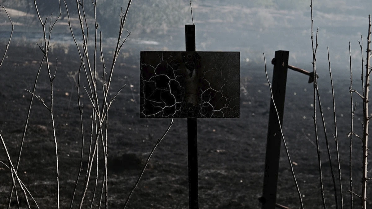 'La huella del fuego', el documental que analizará los incendios en Madrid y Ávila de este verano... y los que están por venir 2 La huella del fuego